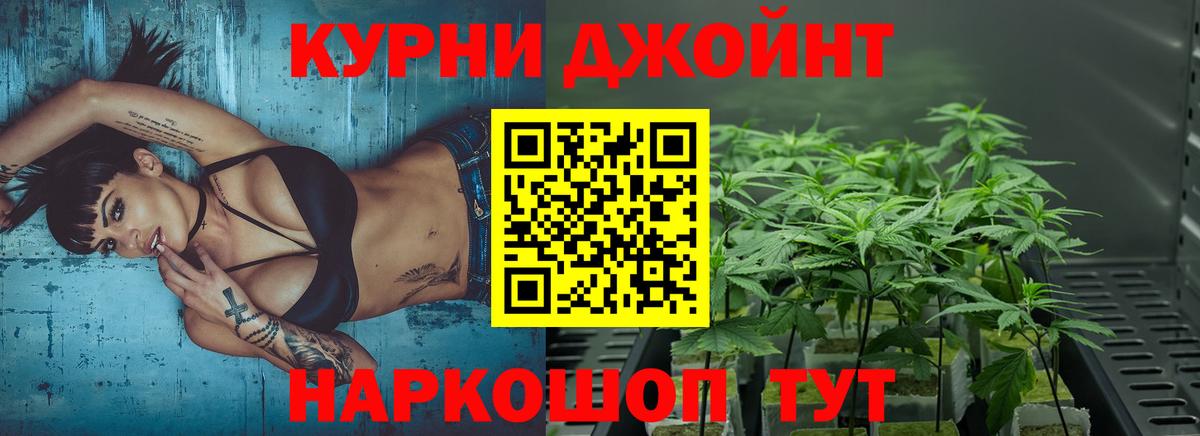 Бошки марихуана марихуана  Вход с VPN  Каннабис гибрид  Каннабис White Widow  Бошки Шишки Bruce Banner  Майкоп 